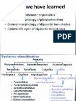 Platyhelminthes