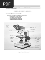 2024SUE1BIO143L UsingtheVScope 330245 | PDF | Microscope ...