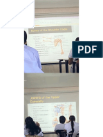 Neuromuscularanatony PDF