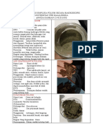 Identifikasi Simplisia Folium Secara Makroskopik