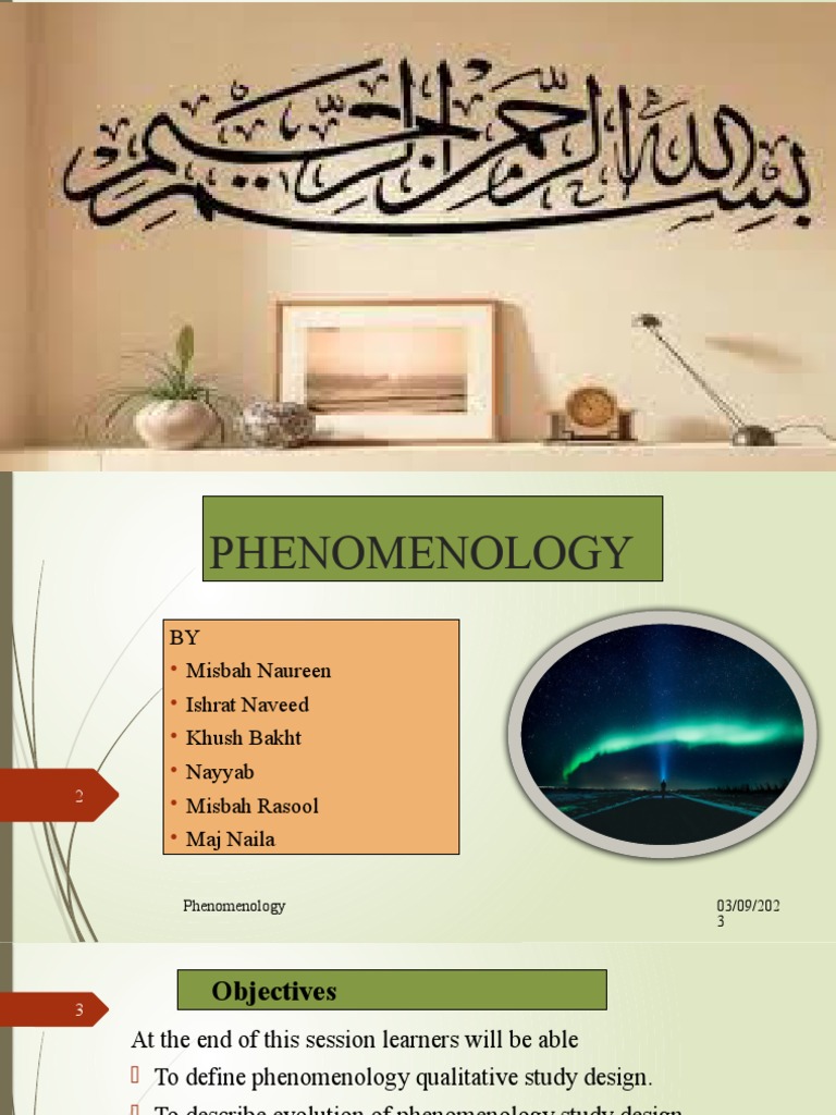 PHENOMENOLOGY DEFINITION MEANING visual data 8