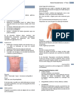 Semio Prática PDF