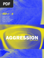 01 Aggression - Hurting Other People Group 4 PDF