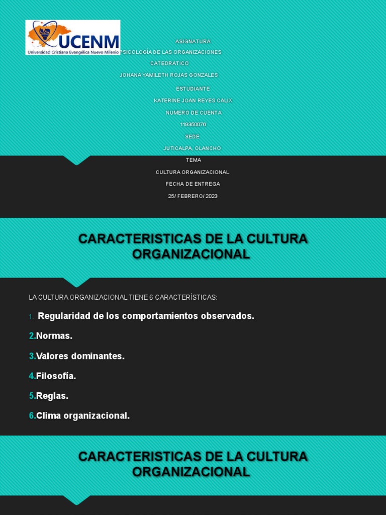 Características de la Cultura Organizacional | PDF