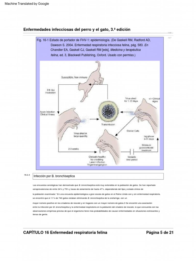 Greene, Infectious Diseases of The Dog and Cat, 3rd Edition (PDFDrive