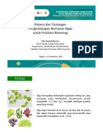 Algae Bioenergy Potential