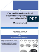 organización de las funciones corticales superiores