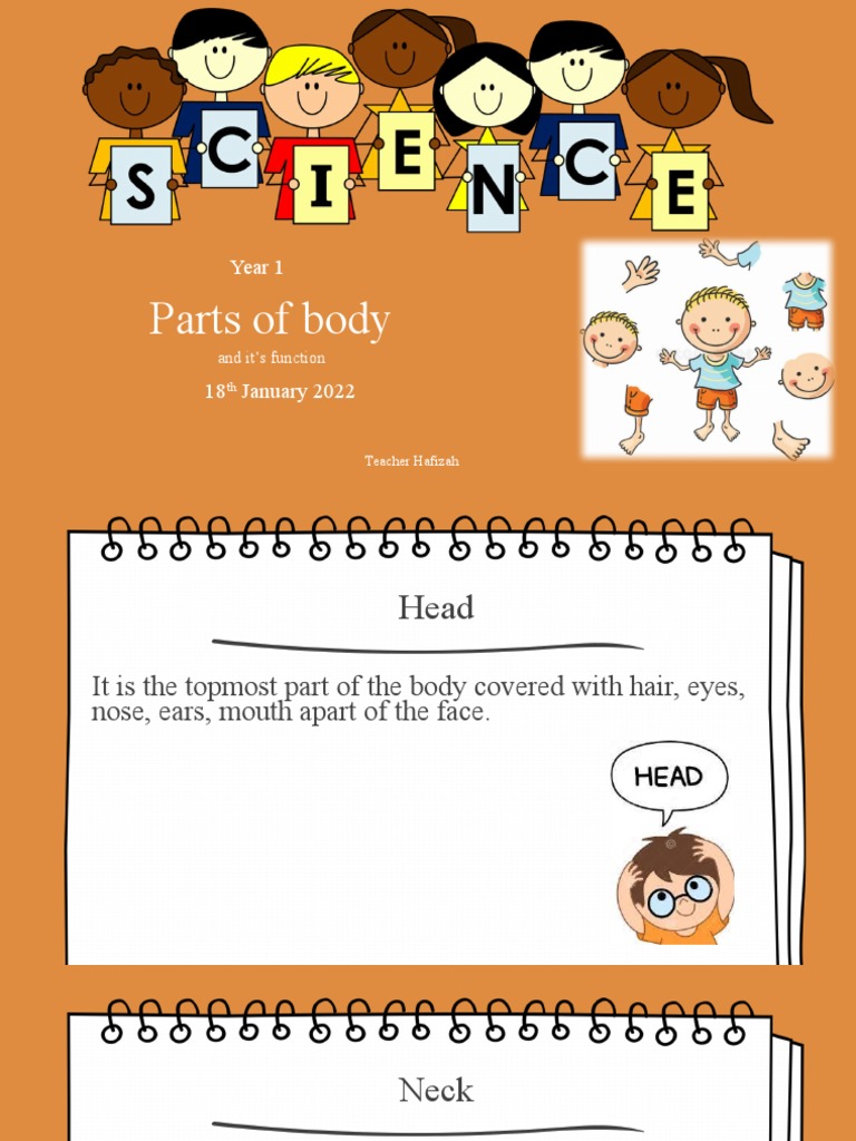 Parts of Body, Year 1 PDF