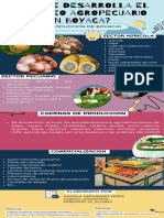Infografía de Mercadeo Agropecuario PDF