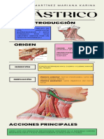 Digástrico PDF