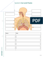 Respiratory System Cut and Paste PDF