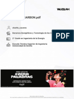 Wuolah Free TEMA 4 EL CARBON PDF