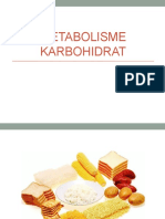 Metabolisme Karbohidrat New