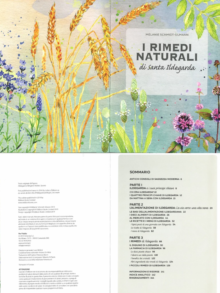 Santa Ildegarda Rimedi Naturali Pdf