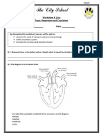 Worksheet 1.6.a