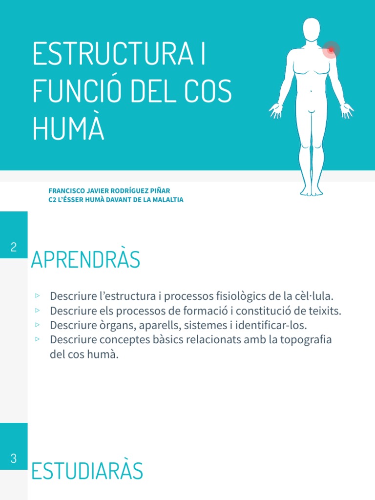 ESTRUCTURA I FUNCIO DEL COS HUM PDF