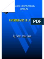 17 ING. WALTER APAZA-ENFERMEDADES EN CEBOLLA.pdf