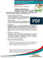 TDR MANTENIMIENTO DE PARCELAS RESIDENTE- RUBEN CHARAPA.docx