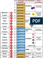 Amino Acid R Group Classification Summary