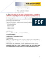 Instructivo Formato Preinforme Unidad 1 2023 - 1 PDF