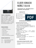 Mi CV Nuñez-Silva (1) Ejemplo