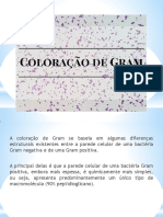 Aula 2 - Coloração de Gram