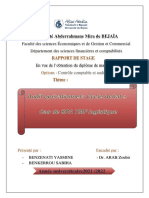 Rapport PDF