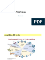 WINSEM2022-23 BIT2011 TH VL2022230501606 ReferenceMaterialI SatFeb1800 00 00IST2023 Module4Notes PDF