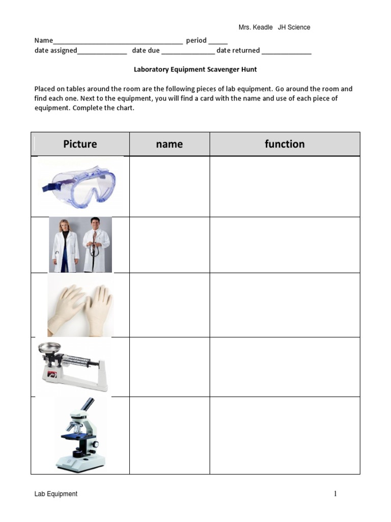 Laboratory Equipment Scavenger Hunt 2023 PDF Laboratories