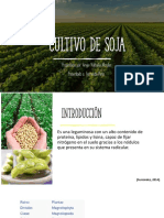 Exposicion Soja