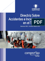 5.2.-Directriz Sobre Accidentes e Incidentes en el Trabajo.pdf.pdf