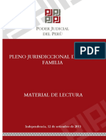 PJ Distrital Familia - LIMA NORTE 2013 - Detención de Menor Por TID y Acumulación de Causales de Divorcio
