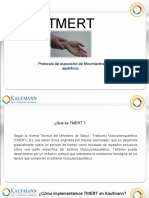 DFS 02 - Difusión Protocolo Trastornos Musculoesqueléticos Relacionados Al Trabajo TMERT