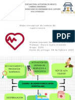 Mapa Conceptual Cadenas de Supervivencia