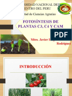07 Fotosintesis de Plantas c3, c4 y Cam