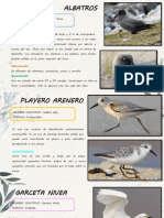 Aves de La Costa - Perez