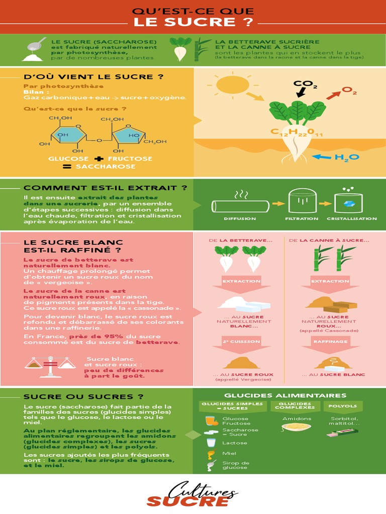 origine-et-types-de-sucre-pdf-r-gime-et-nutrition-sucre