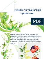 дашулька PDF