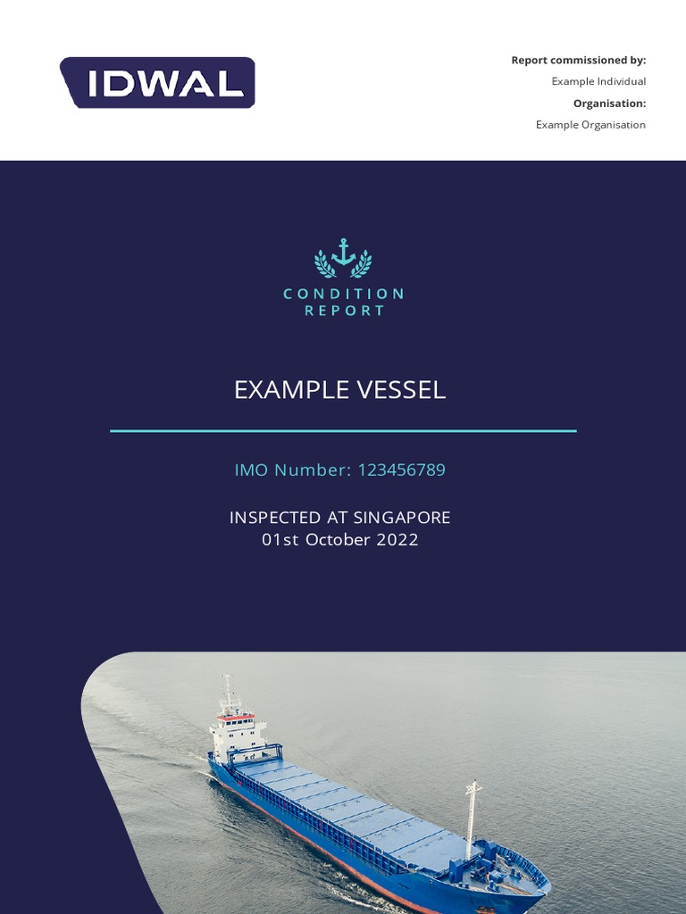 1.IdwalConditionReport BulkCarrier Sample PDF | PDF | Tonnage | Ships