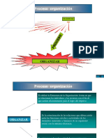 Proceso de Organizacion 2016