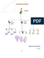 Harta Conceptuala - Educatia