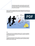 Myokin Berdampak Positif Pada Penyerapan Glukosa