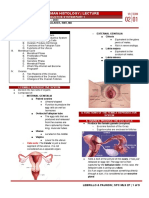 Female Reproductive System Part 1 - SPC MLS1 - Histo Lec