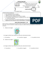 I Prueba Comprensiva de Octavo PDF