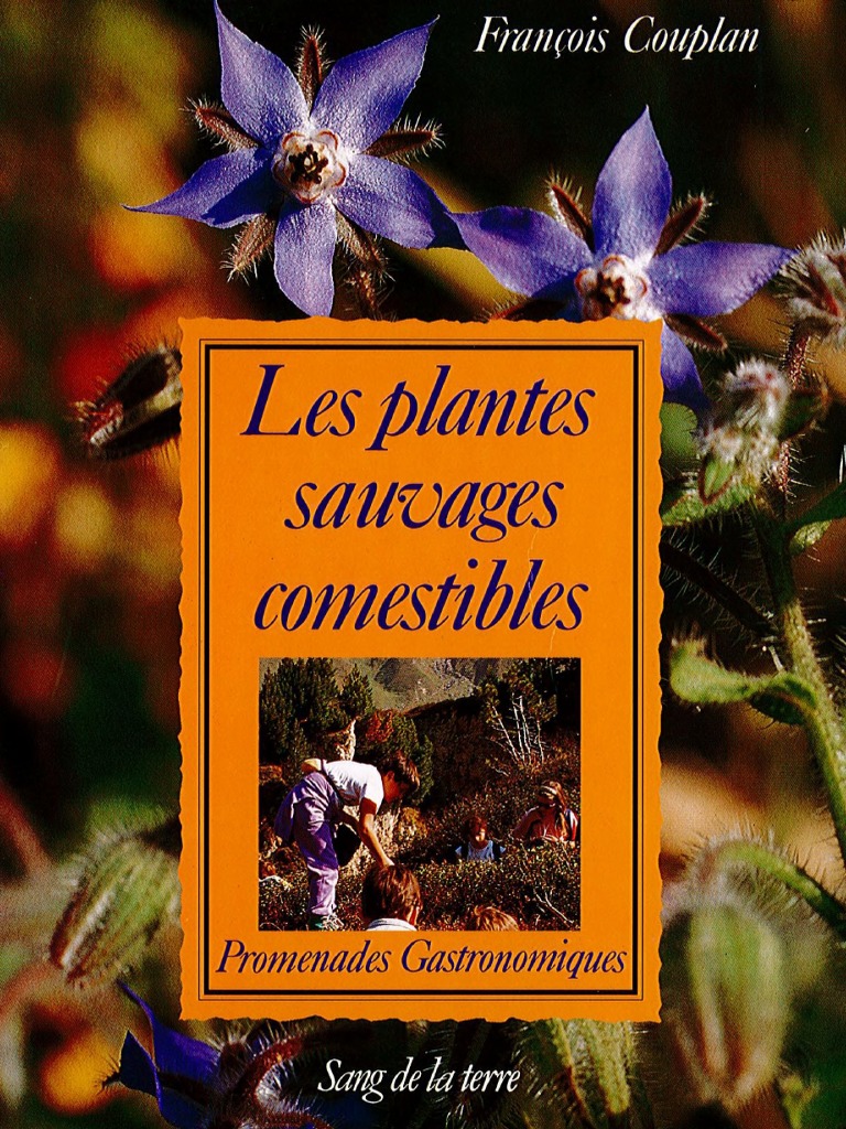 Les fleurs comestibles : un régal pour les yeux et les papilles ! - Vive le  Végétal