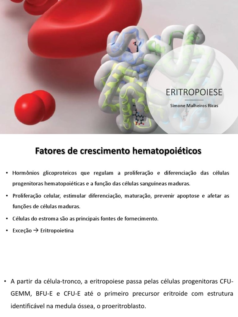 Eritropoiese | PDF | Ferro | Vitamina B12