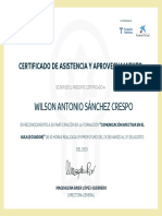 Wilson Antonio Sánchez Crespo: Certificado de Asistencia Y Aprovechamiento