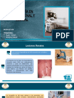 Ecografía en Trauma Renal y Vesical