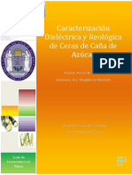 2017 Cabalín Analía PDF