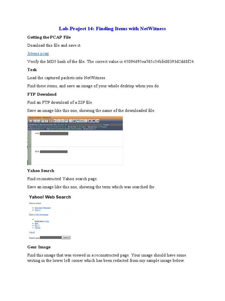 LabProj.14 Netwitness PDF